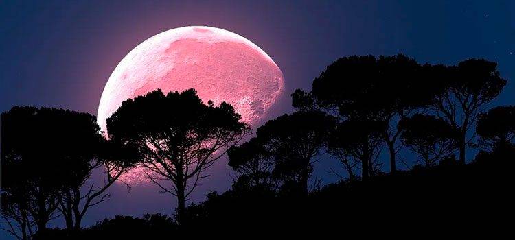 El evento astronómico del año “La Superluna rosa”